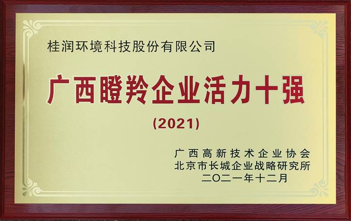 2021年广西瞪羚企业活力10强.jpg